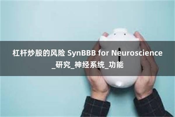 杠杆炒股的风险 SynBBB for Neuroscience_研究_神经系统_功能